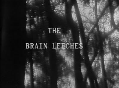 The Brain Leeches 13 THE BRAIN LEECHES Fred Olen Ray An Odyssey Of Terror 1978