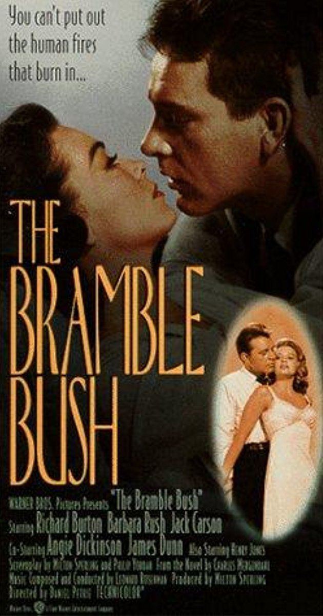 The Bramble Bush The Bramble Bush 1960 IMDb