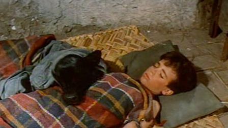 The Brave One (1956 film) The Brave One 1956 MUBI