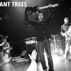 The Brilliant Trees The Brilliant Trees Listen and Stream Free Music Albums New