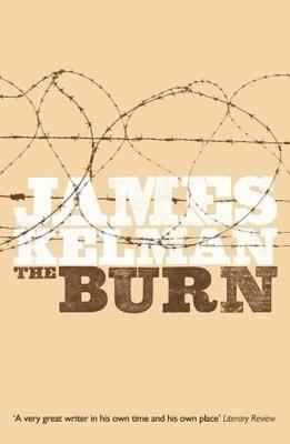 The Burn (short story collection) t1gstaticcomimagesqtbnANd9GcSNzxzSQyAxqFIBAL