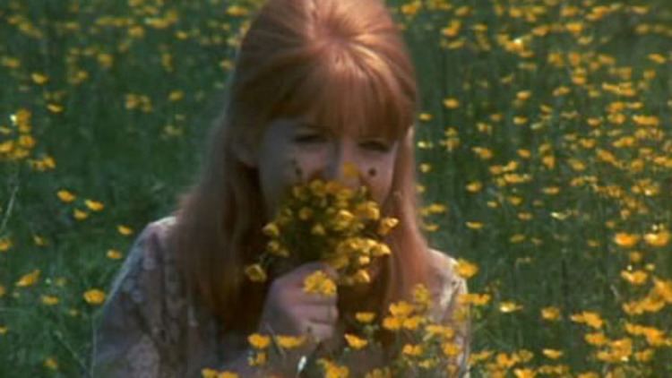 The Buttercup Chain The Buttercup Chain 1970 MUBI