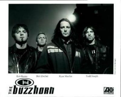 The Buzzhorn The Buzzhorn Disconnected CD Heavy Harmonies Discography