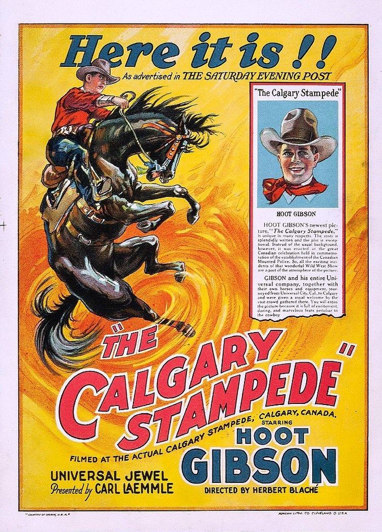 The Calgary Stampede