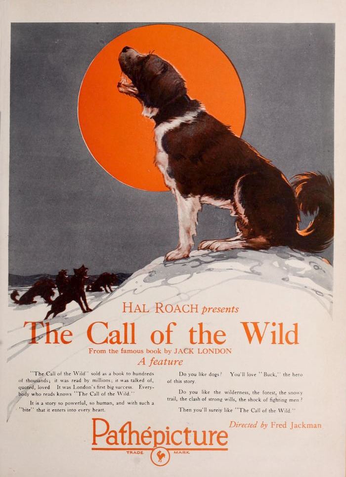 The Call of the Wild (1923 film) The Call of the Wild 1923 film Wikipedia