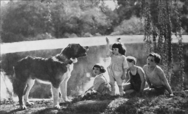 The Call of the Wild (1923 film) The Call of the Wild 1923 film Wikipedia