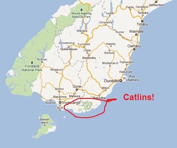 The Catlins The Catlins Part 1 The Missing Year