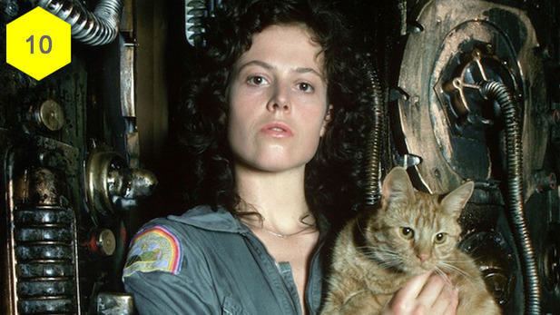 The Cats-Paw movie scenes Jones from Alien 