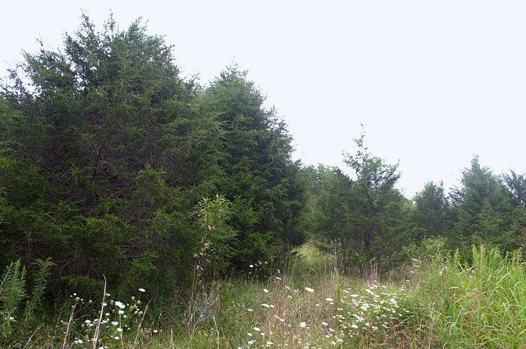 The Cedars Natural Area Preserve