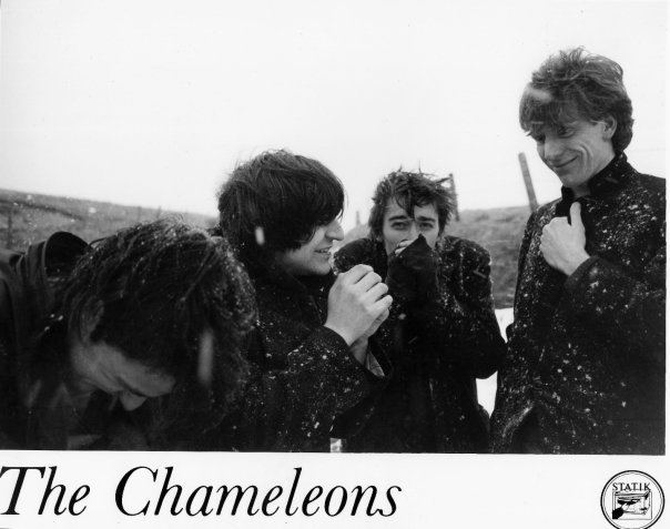 The Chameleons httpswritewyattukfileswordpresscom201512t