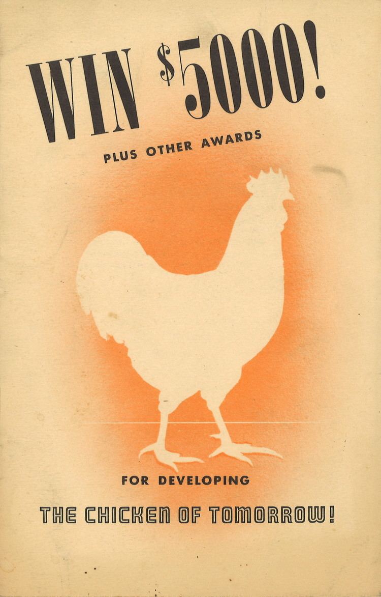 The Chicken of Tomorrow The Chicken of Tomorrow 1948 Mankinds Quest For A Better Hen