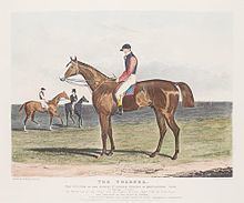 The Colonel (horse) httpsuploadwikimediaorgwikipediacommonsthu