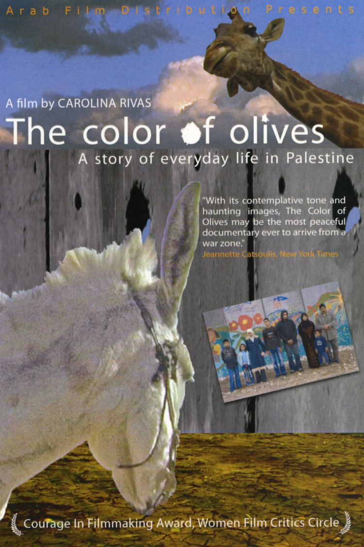 The Color of Olives wwwgstaticcomtvthumbdvdboxart162886p162886