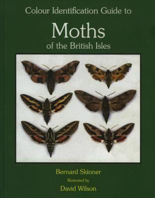 The Colour Identification Guide to Moths of the British Isles t1gstaticcomimagesqtbnANd9GcQPPIDa0dhs7idWnl