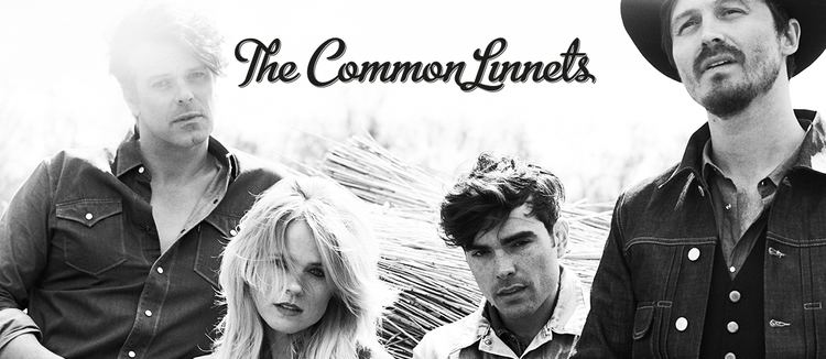 The Common Linnets wwwthecommonlinnetscomdownloadid1405ampwidth1