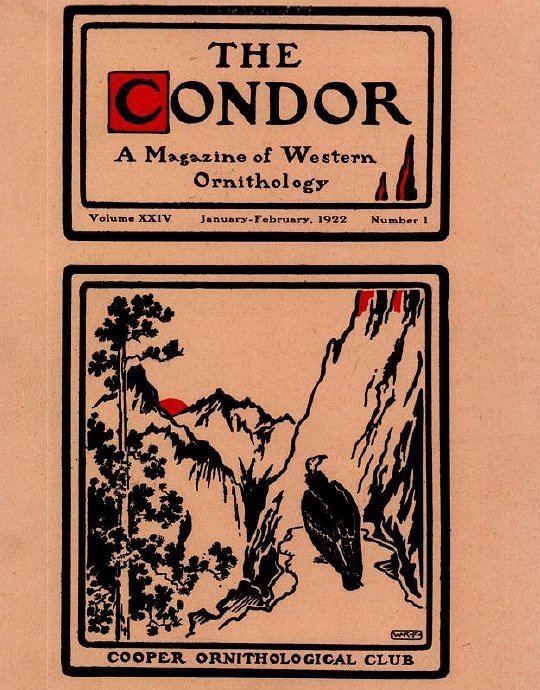 The Condor (journal)