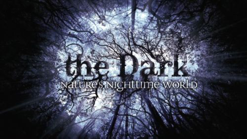 The Dark: Nature's Nighttime World The Dark Nature39s Nighttime World TV fanart fanarttv
