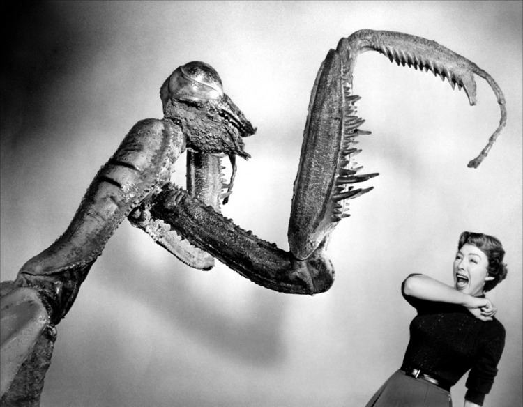 The Deadly Mantis The Deadly Mantis USA 1957 HORRORPEDIA