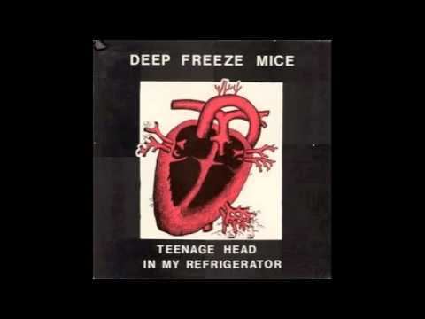 The Deep Freeze Mice The Deep Freeze Mice Teenage Head In My Refrigerator YouTube