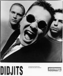 The Didjits The Didjits discography lineup biography interviews photos