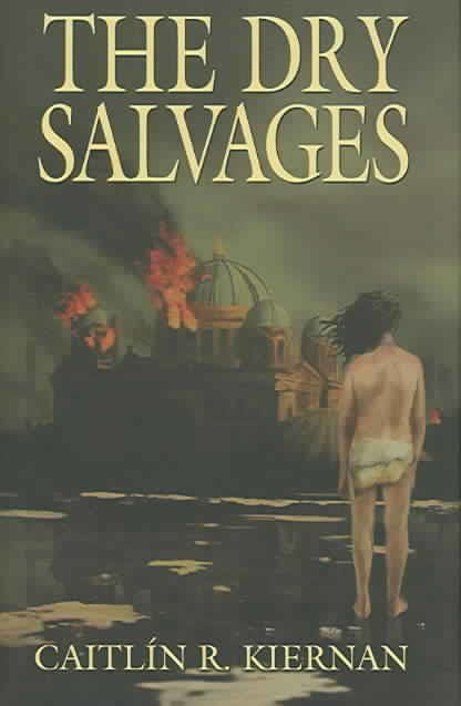 The Dry Salvages (novella) t0gstaticcomimagesqtbnANd9GcTfWdEtwwGDZPk8mk