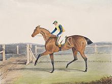 The Duchess (horse) httpsuploadwikimediaorgwikipediacommonsthu