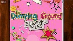 The Dumping Ground Survival Files httpsuploadwikimediaorgwikipediaenthumb3