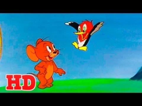 The Egg and Jerry Tom and Jerry The Egg and Jerry Episode 99 YouTube