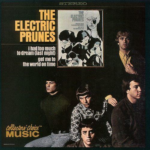 The Electric Prunes The Electric Prunes Biography Albums Streaming Links AllMusic