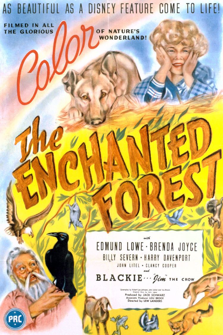 The Enchanted Forest (film) wwwgstaticcomtvthumbmovieposters4881p4881p