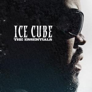 The Essentials (Ice Cube album) cdn3pitchforkcomalbums12576homepagelarge899