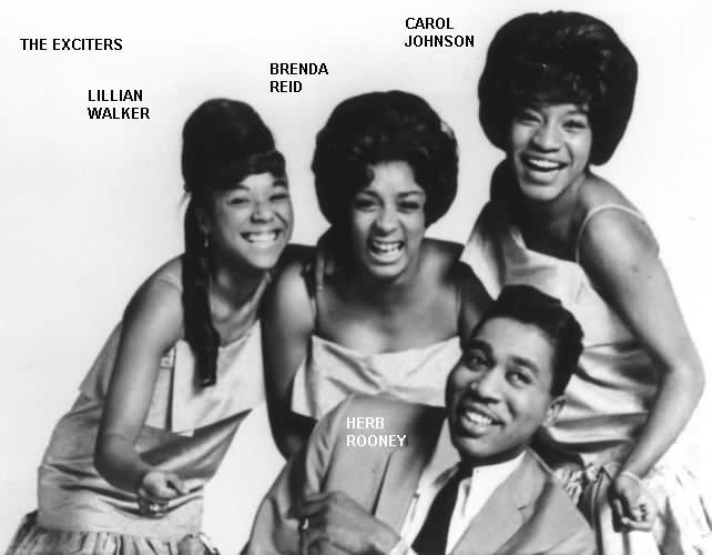 The Exciters the exciters The Flower and the Vine