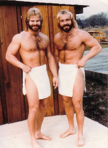 The Fabulous Ones The Fabulous Ones were 100 heterosexual Freakin39 Awesome Network