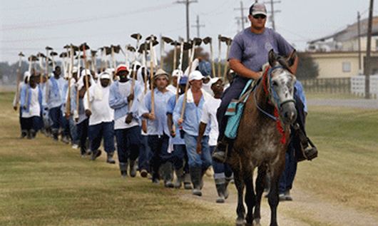 The Farm: Angola, USA The Farm Angola USA An Intimate Look Inside Americas Largest