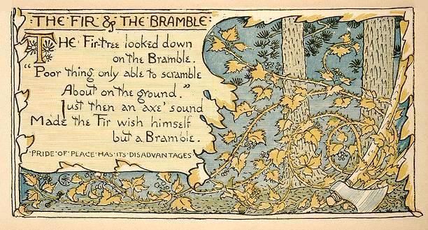 The Fir and the Bramble