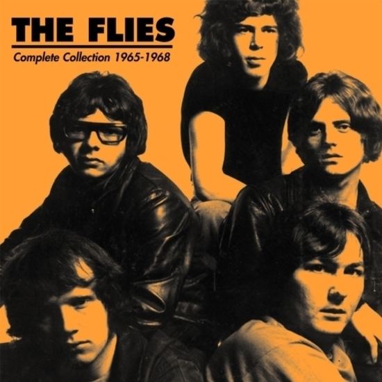 The Flies (English band) httpslightintheattics3amazonawscomupload