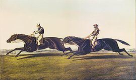 The Flying Dutchman (horse) httpsuploadwikimediaorgwikipediacommonsthu