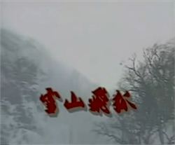 The Flying Fox of Snowy Mountain (1991 TV series) httpsuploadwikimediaorgwikipediaenff5Fly