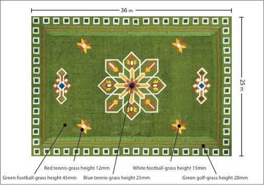The Flying Grass Carpet