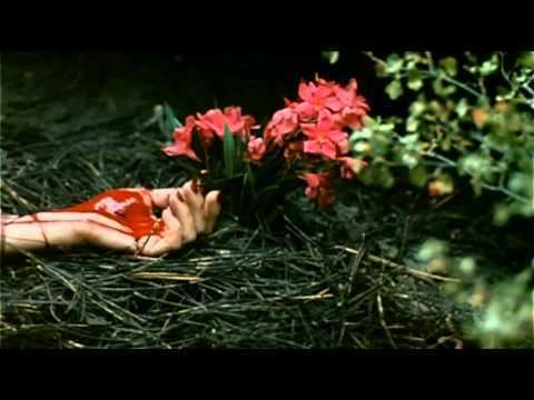 The Forest (1982 film) The Forest 1982 Trailer YouTube