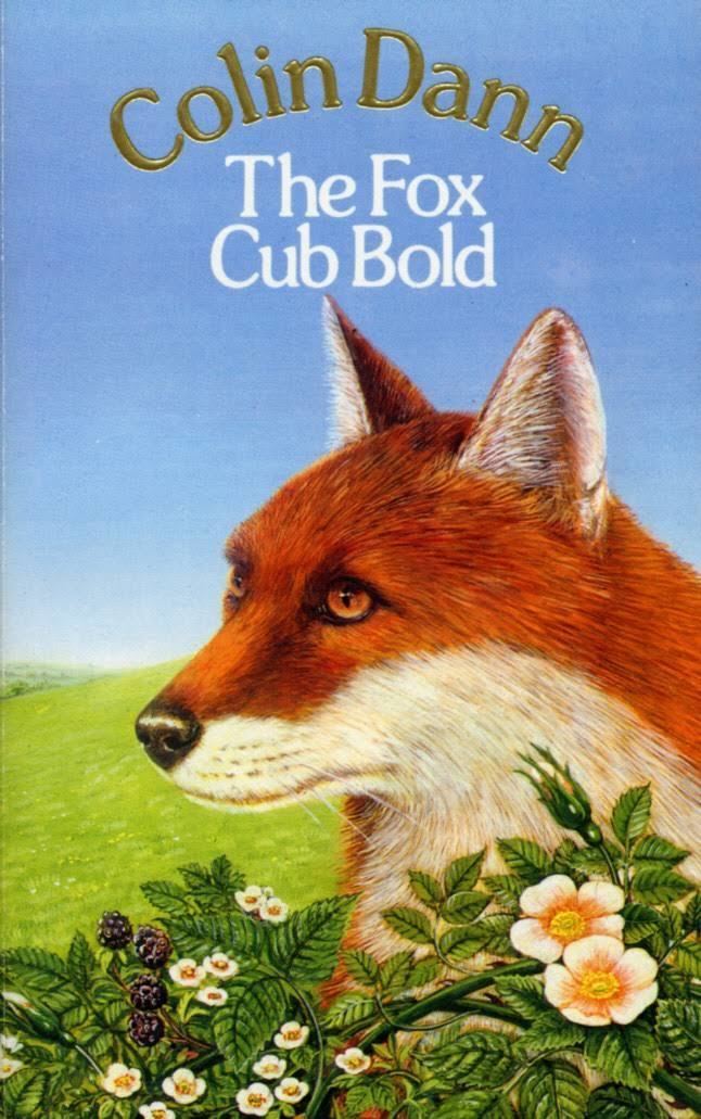 The Fox Cub Bold t0gstaticcomimagesqtbnANd9GcQ1yH6mL1yLeQu9Gw
