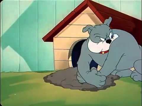 The Framed Cat Tom and Jerry The Framed Cat YouTube