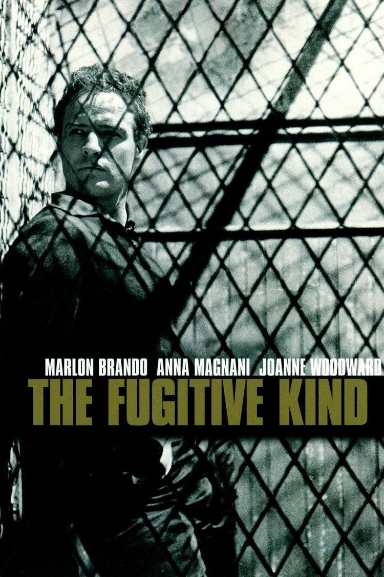 The Fugitive Kind wwwgstaticcomtvthumbmovieposters1310p1310p