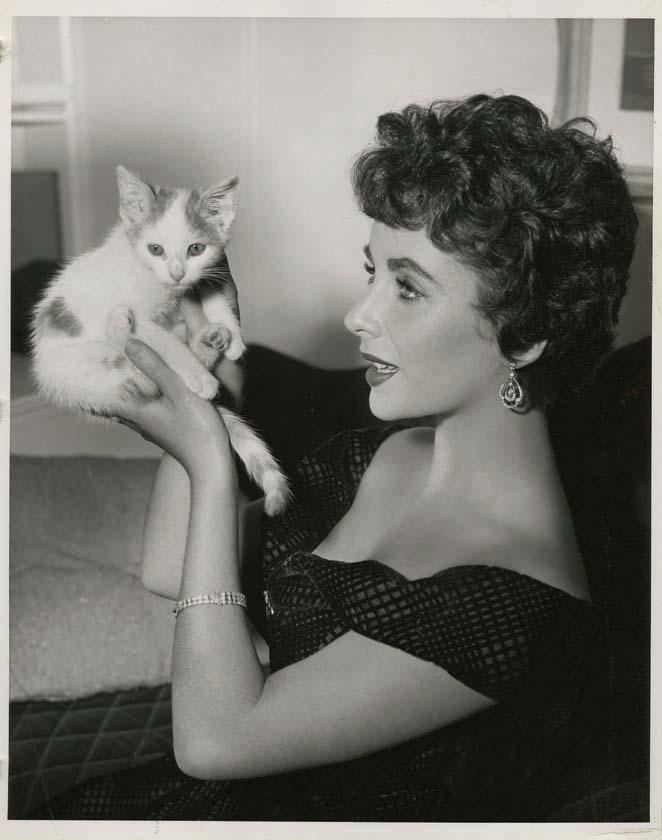 The Girl Who Had Everything The Girl Who Had Everything 1953 Elizabeth Taylor Official