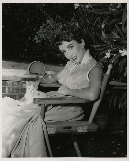 The Girl Who Had Everything Elizabeth Taylor The Girl Who Had Everything photo gallery