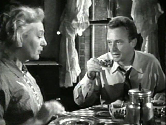 The Glass Menagerie (1950 film) The Glass Menagerie 1950 Irving Rapper Jane Wyman Kirk Douglas