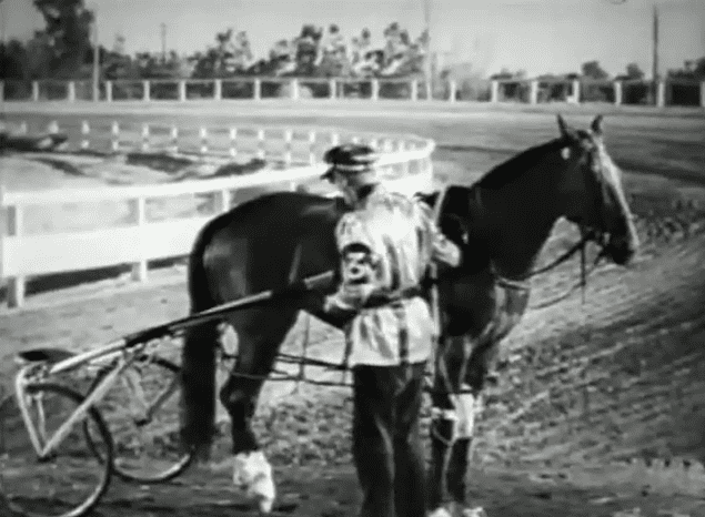 The Great Dan Patch Friday Flicks The Great Dan Patch HORSE NATION