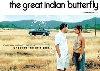 The Great Indian Butterfly Review The Great Indian Butterfly review A regular fairytale