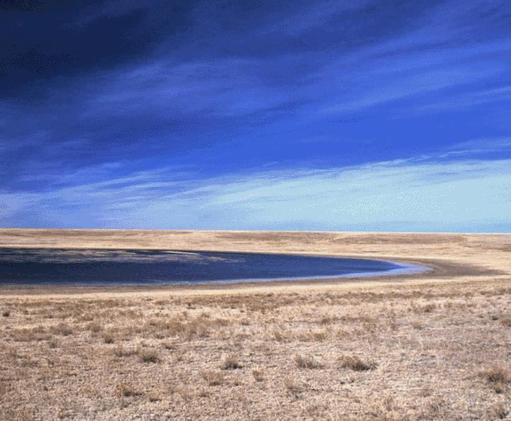 The Great Plains Ecoregion