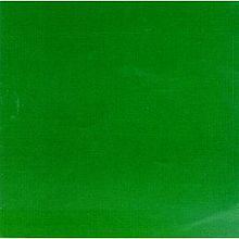 The Green Album (Skankin' Pickle album) httpsuploadwikimediaorgwikipediaenthumbd